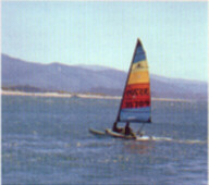 Windsurf en la baha